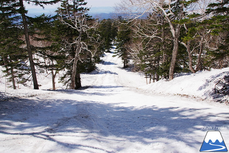 大雪山旭岳ロープウェイスキー場 残雪の北海道最高峰に今季最後のシュプールを…。